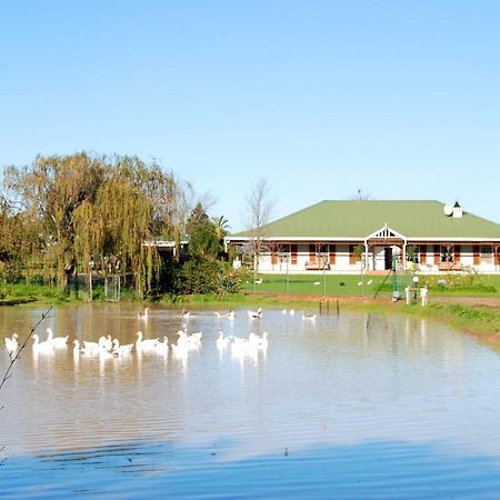 Hoopenburg Guesthouse Klapmuts Zewnętrze zdjęcie