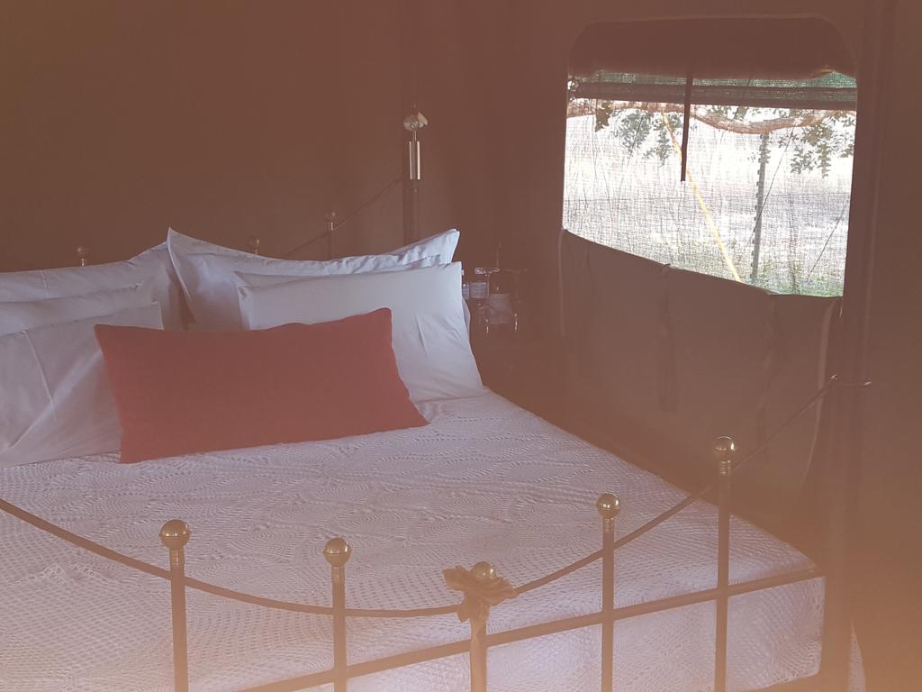 Hoopenburg Guesthouse Klapmuts Zewnętrze zdjęcie